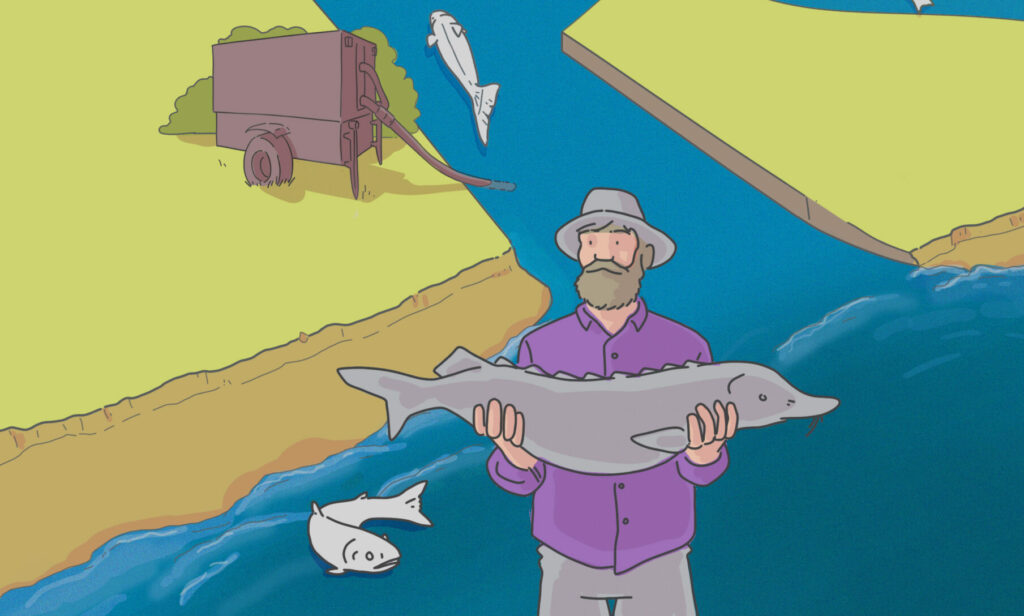 Infographics on migratory fish educational illustration