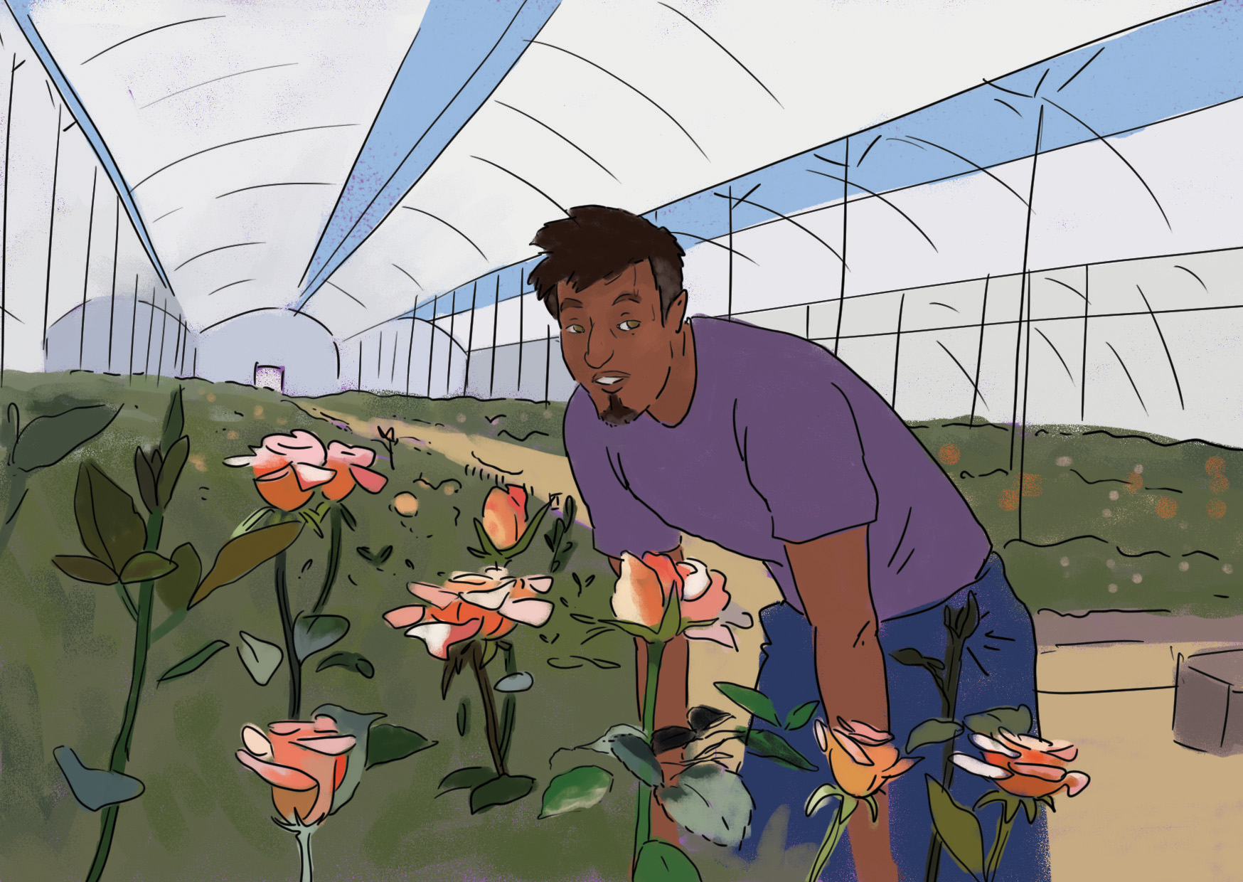 Ecuador Family - Father in a rose farm